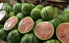 吃瓜两个瓜,揭秘吃瓜背后的故事与趣味