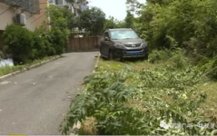 竹林小区新闻爆料事件,揭秘社区热点事件背后的真相